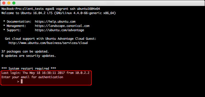 Cmd authorization prompt 1 - "Enter yoru email for authentication"